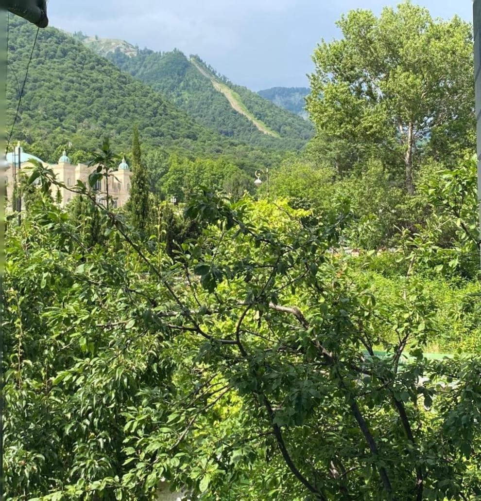 Panoramic Tufandag Family Apartment Gabala Buitenkant foto